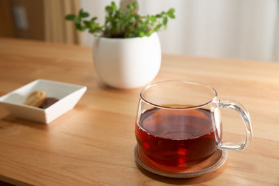 チャーガ茶の効能は？？特徴や栄養成分等を紹介！