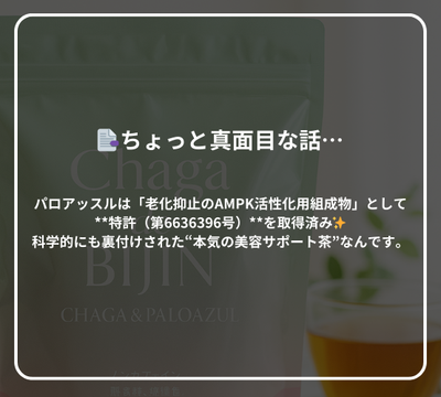 チャーガ de BIJIN ティーパックタイプ