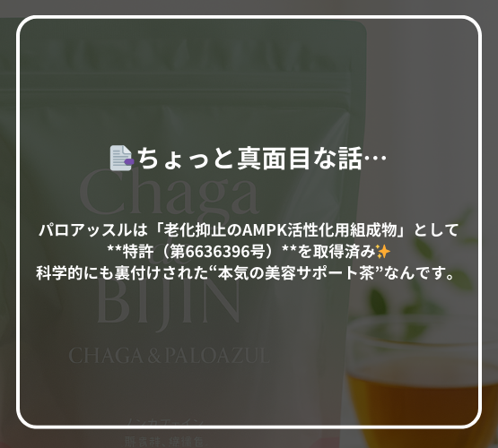 チャーガ de BIJIN スティックタイプ（定期便）（キャンペーン用）