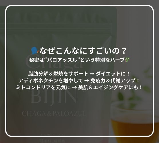 チャーガ de BIJIN スティックタイプ（定期便）（キャンペーン用）
