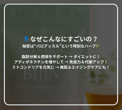 チャーガ de BIJIN スティックタイプ（定期便）（キャンペーン用）