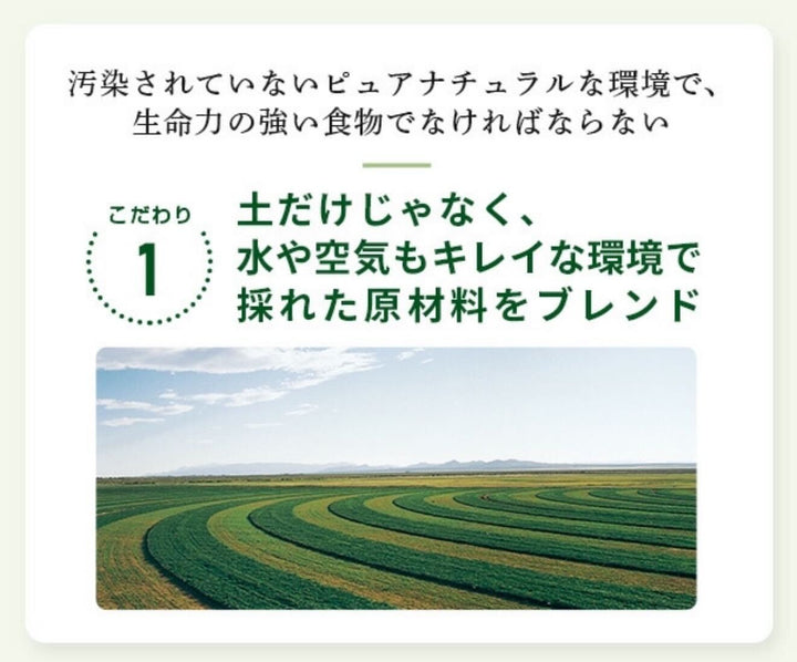 みどりのれもん⭐︎ベジパワープラス ベジパワープラス – シルクドリバー公式オンラインショップ